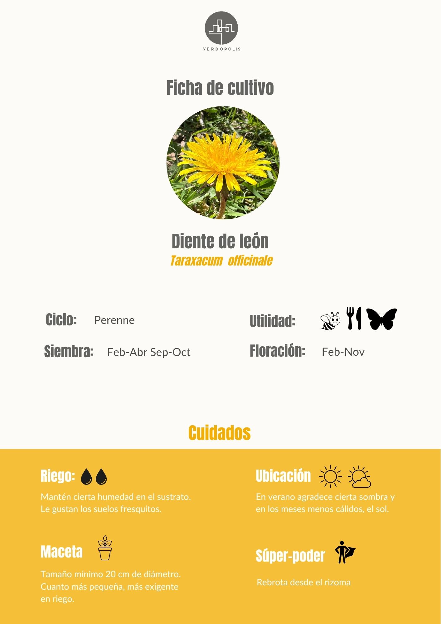 Diente de león