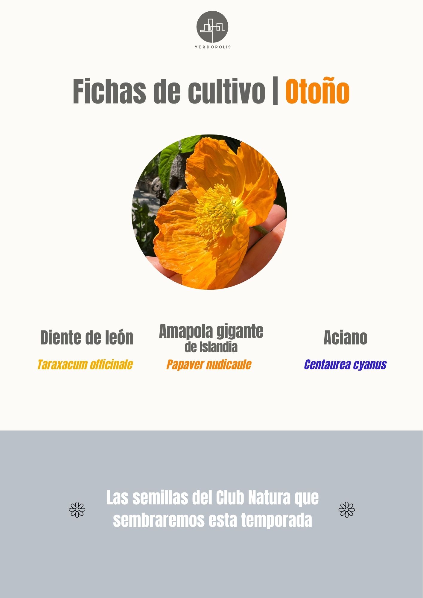 Semillas de otoño