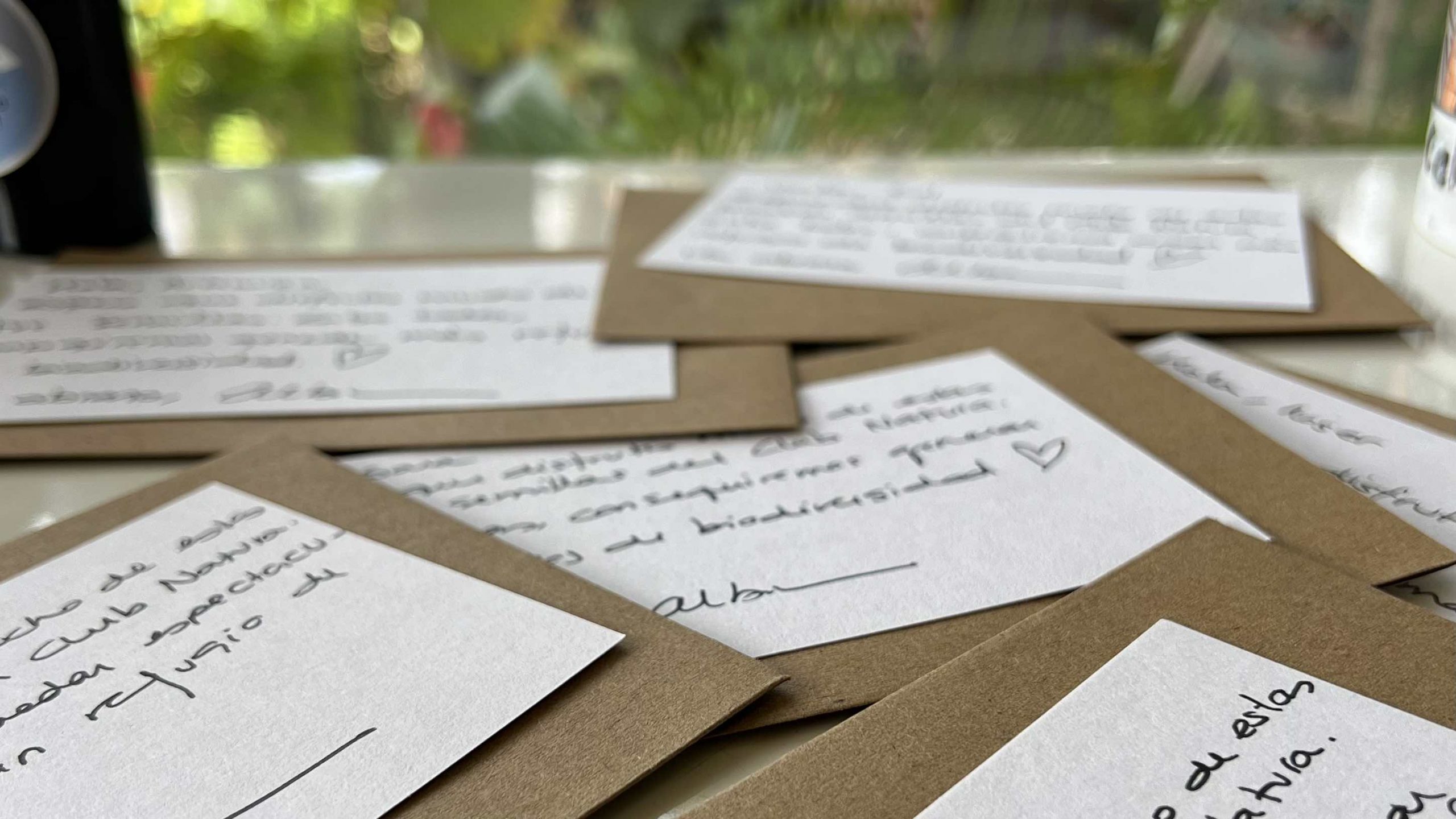 Las semillas de esta temporada: Caléndula, Hinojo y Zanahoria