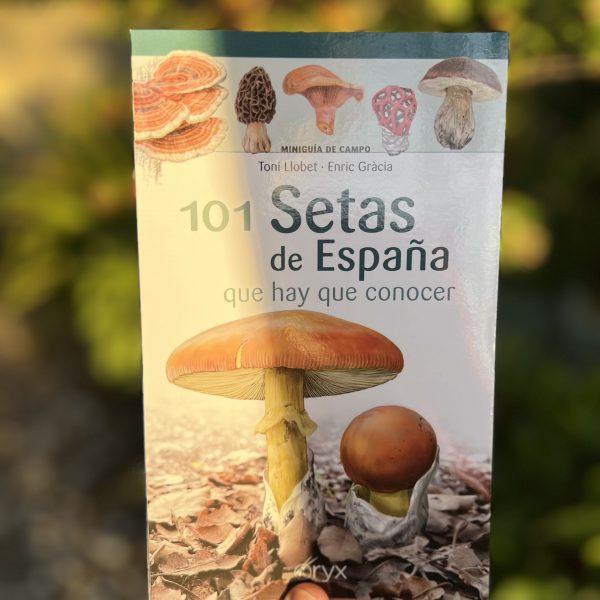 Mini guía de setas