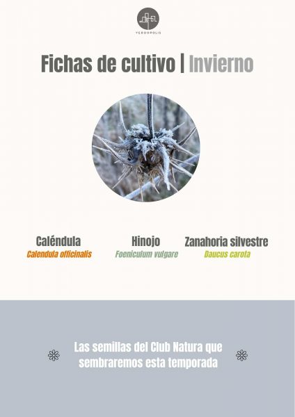 Fichas de cultivo invierno