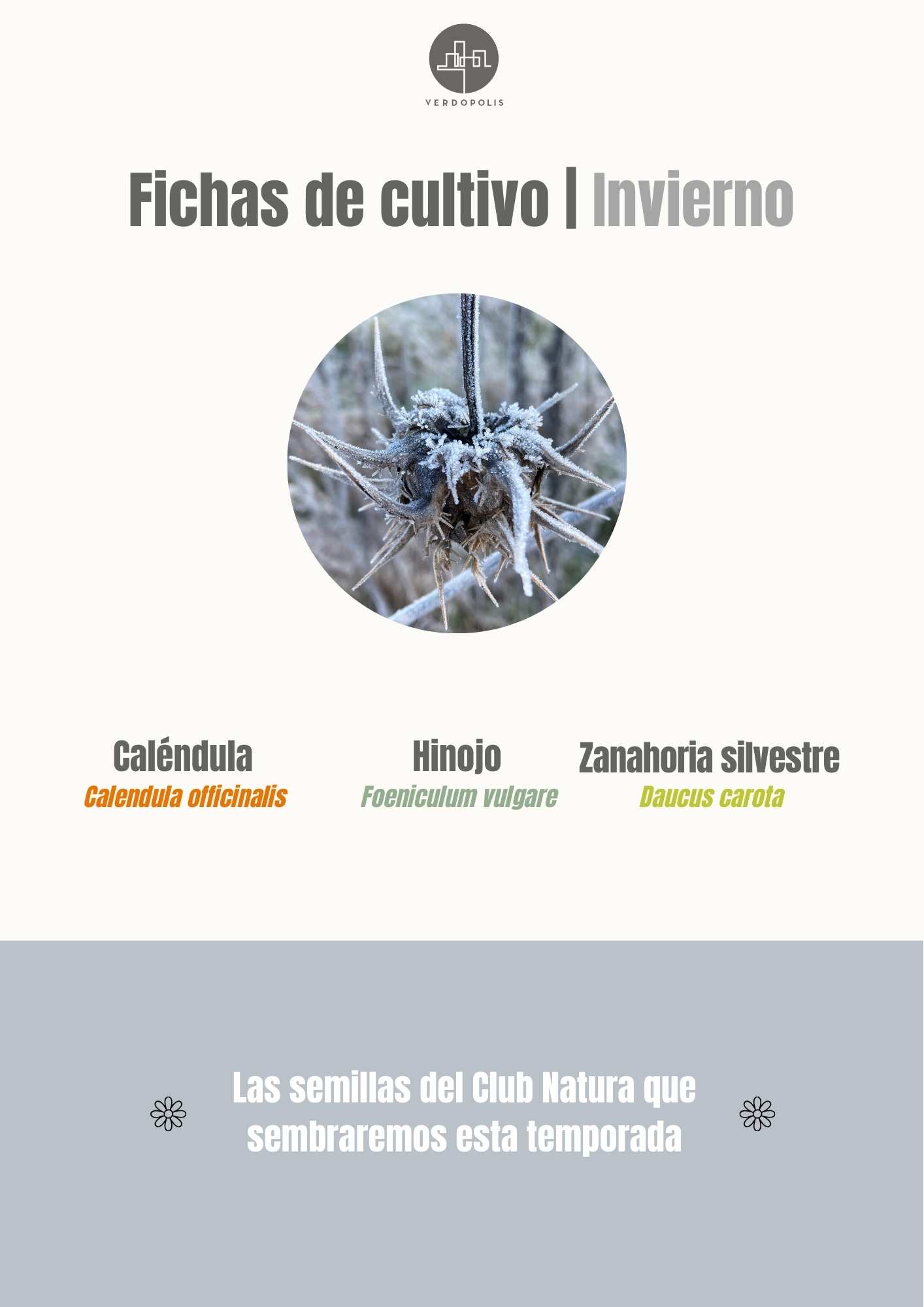 Fichas de cultivo invierno