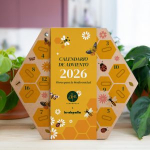 Curso calendario de adviento de semillas