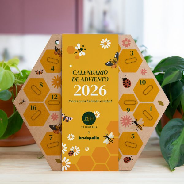 Curso calendario de adviento de semillas