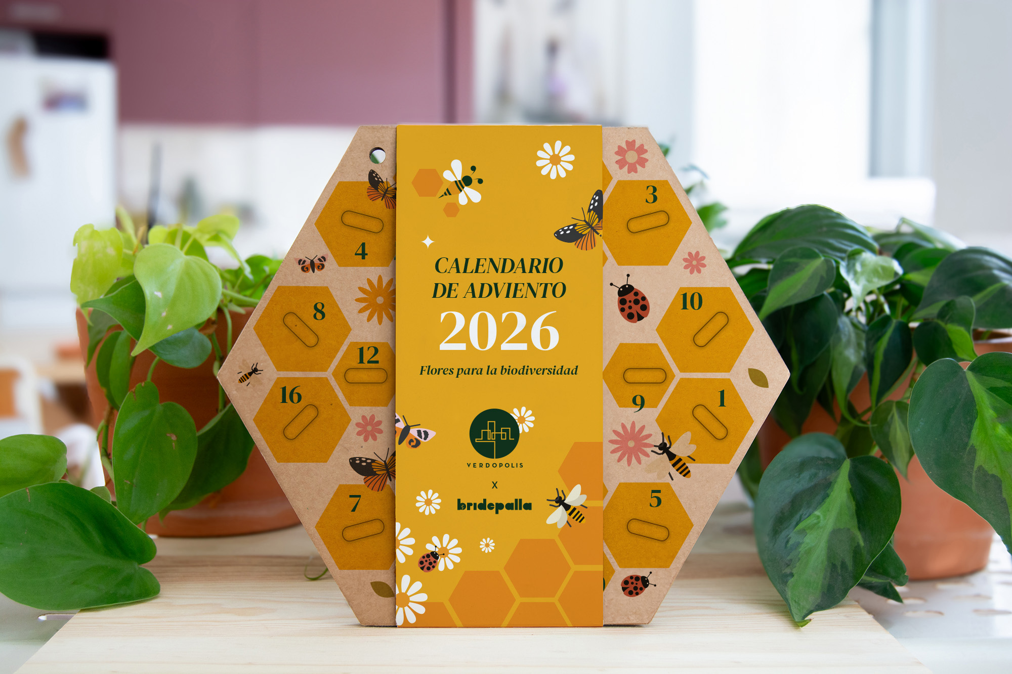 Curso calendario de adviento de semillas