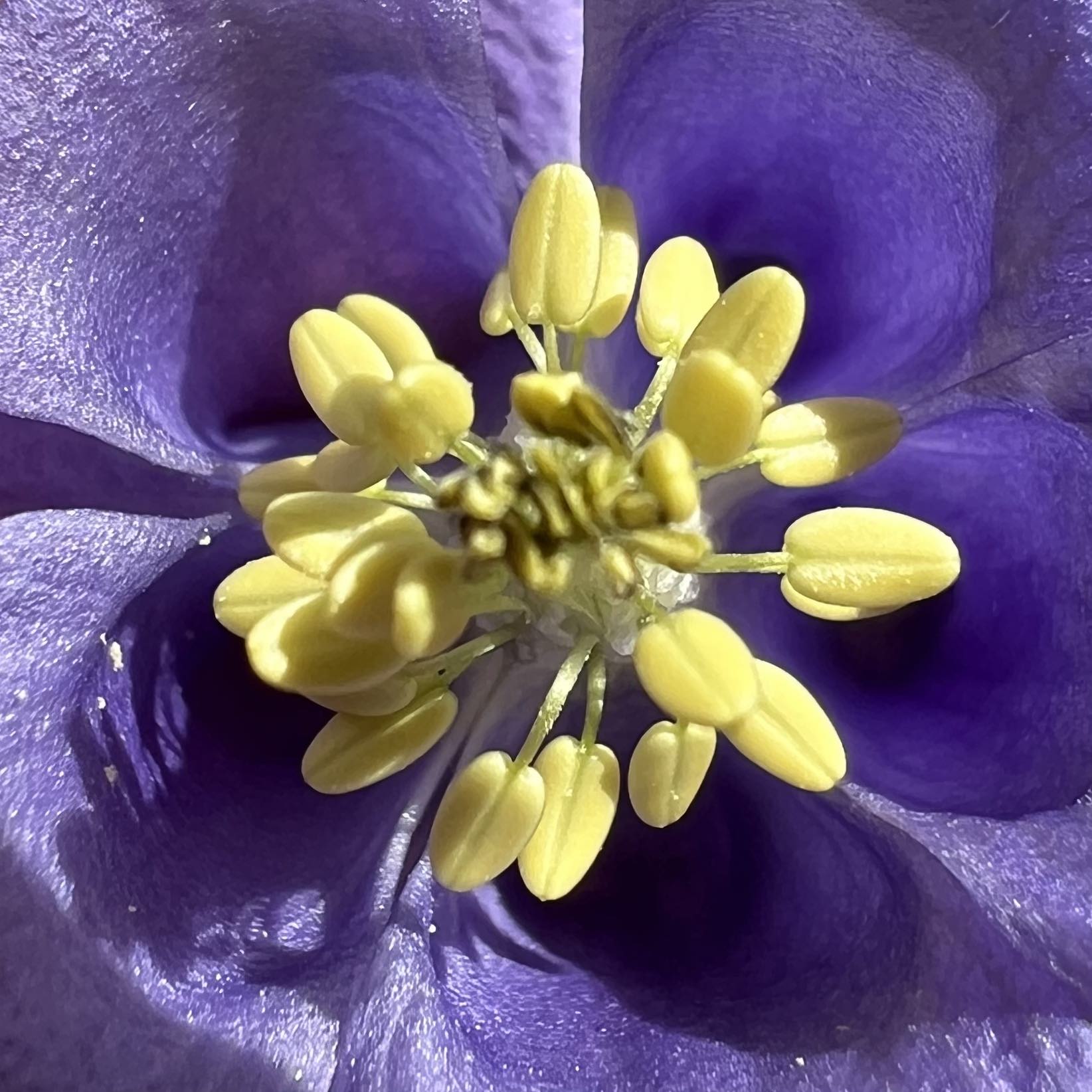 Próximamente… primavera