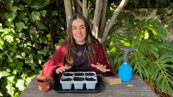 Vídeo: Cómo hacer semilleros. Te cuento las 7 claves y los errores más frecuentes