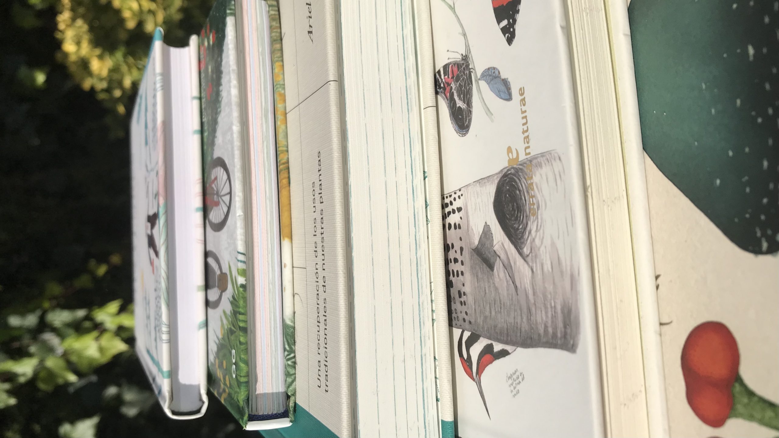 Directo plantas y libros 📚