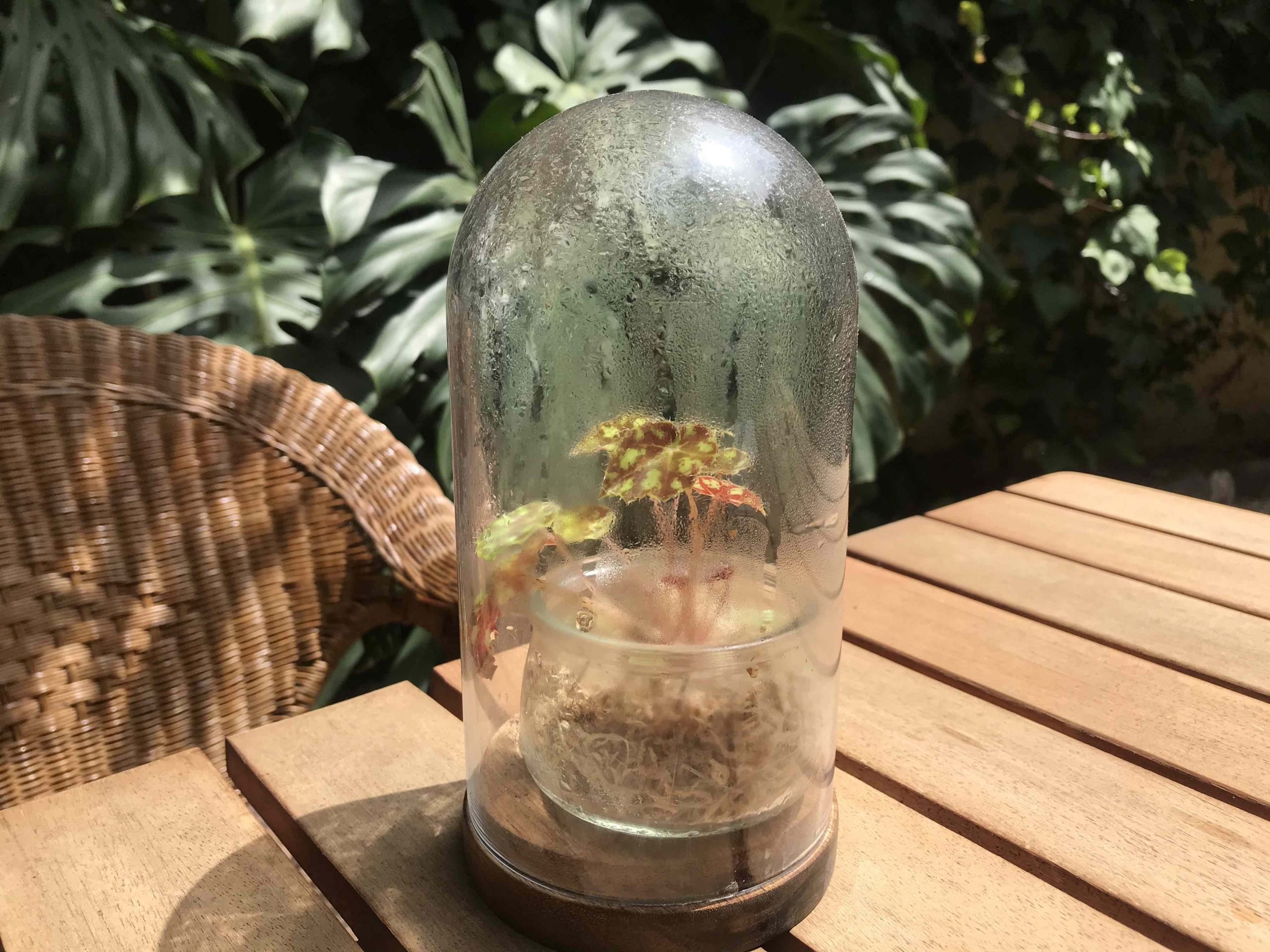 taller propagación